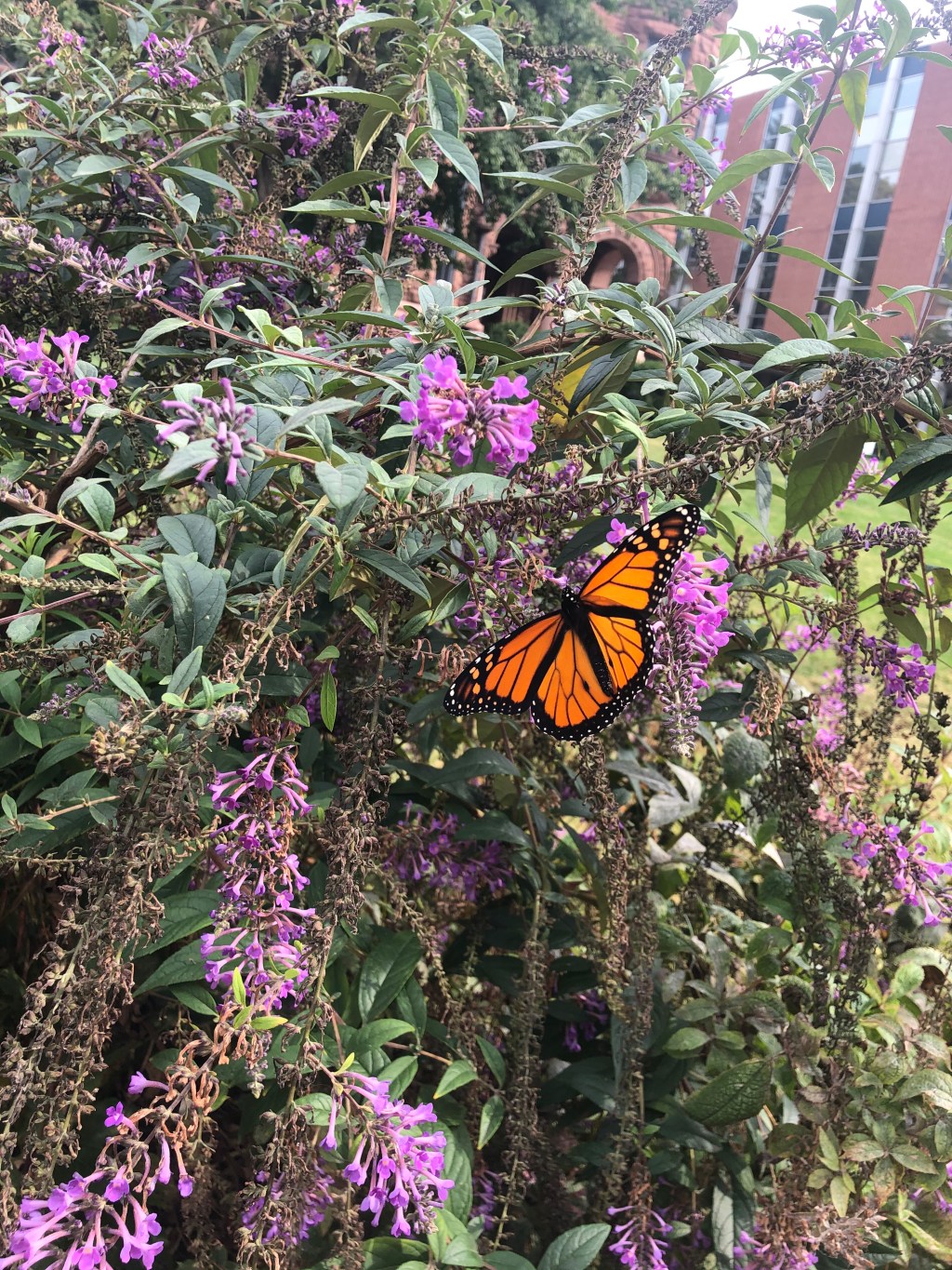 The Sentiment of&nbsp;Tomorrow